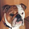 Profilbild von Rubicon