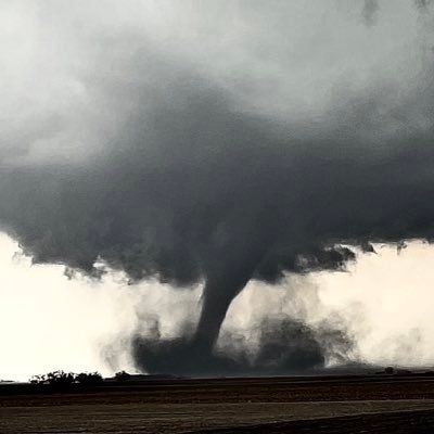 Mobile Weather Office's profile picture