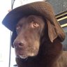Murray Valyear's profile picture