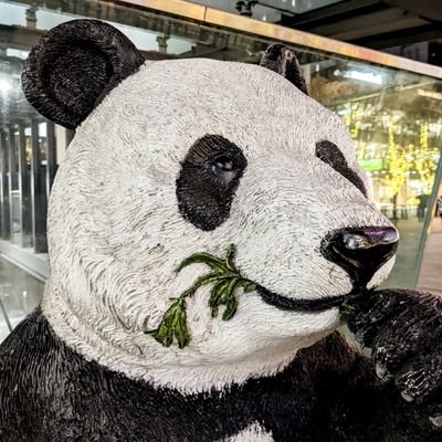 ikuoobayashi's profile picture