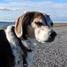 Profilbild von Malikaie