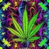Фото профиля weedking