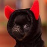 Profilbild von Mustafa
