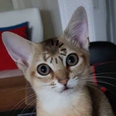 bblight56's profile picture