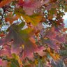 Фото профиля Daylight_wasting_time4