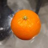 Orange Lady's profile picture