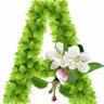 anitadevi sapam- ISBP's profile picture