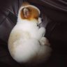 HUMBLESOO🌻🌼🌷 profil fotoğrafı