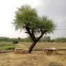 Saurabh Lodhi's profile picture
