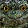Txema Palomares's profile picture