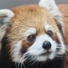 ボヤキぬんの助's profile picture