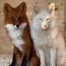 Gia94 profil fotoğrafı