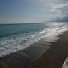 redrose33's profile picture