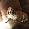 twinabmom's profile picture