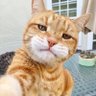 Profilbild von Billi Police