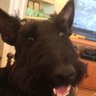 Nancy Barton's profile picture