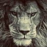 Profilbild von Gladiator