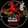 mekahal mohamed's profile picture