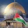 Mahdi albuna's profile picture