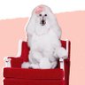 AB๐'s profile picture