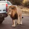 Kruger profil fotoฤrafฤฑ