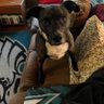 zocollin's profile picture