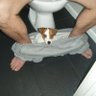 The Dog man's profile picture