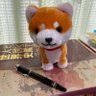 りんむー。 profil fotoğrafı