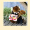かっちゃん profil fotoğrafı