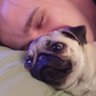 Profilbild von Scott