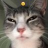 Profilbild von Kizumo