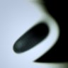 tsaebyracs's profile picture