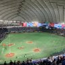 ロンドンブーツ17号 的头像