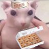 lil_bean_3 的头像