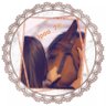 رموز مزاجية profil fotoğrafı