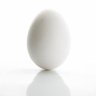zephyr's profile picture