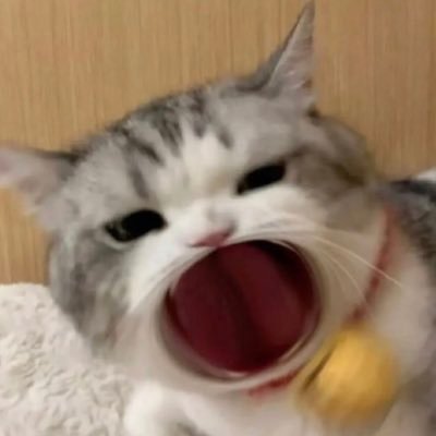 xiaomutongxue6's profile picture
