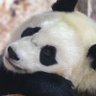 Profilbild von なほっぺ
