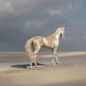 Profilbild von Silver horse