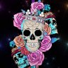 Фото профиля Spin Darella