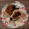 Lynnfel's profile picture