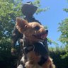 Winston's profile picture