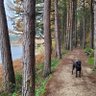 Libby profil fotoğrafı