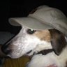 Profilbild von masshole
