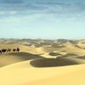 Gobi 的头像