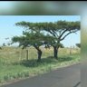 Peter Matsetela's profile picture