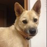 YUKI's profile picture