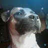 Angela Hensley's profile picture