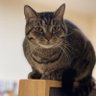Profilbild von Noel