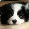 Profilbild von 於